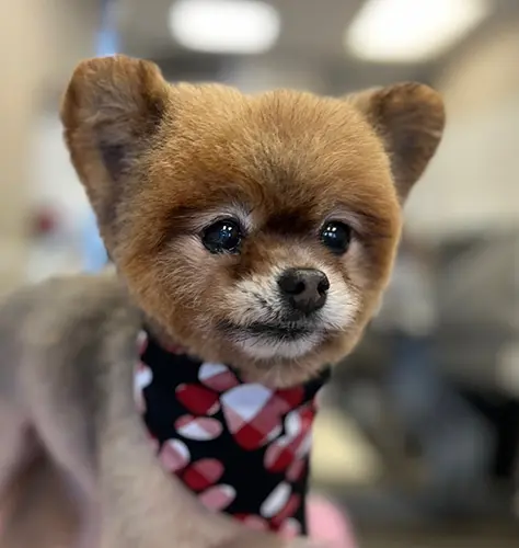 Gentle handling and care